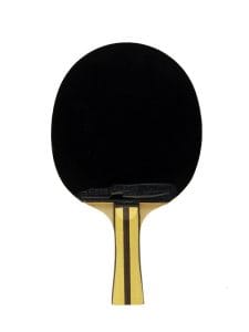 DHS 4-Star table tennis racket