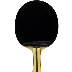 DHS 4-Star table tennis racket