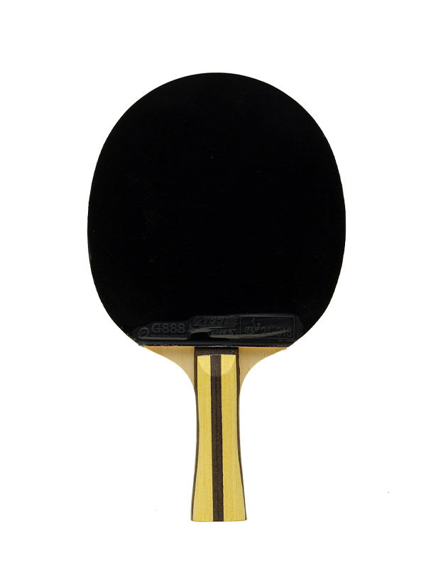 DHS 4-Star table tennis racket