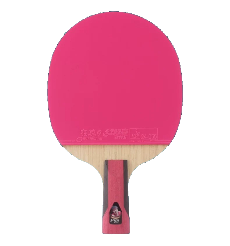 DHS Color 6-Star table tennis racket