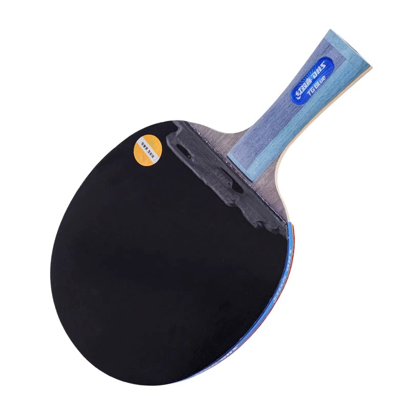 DHS Skyline Blue table tennis racket