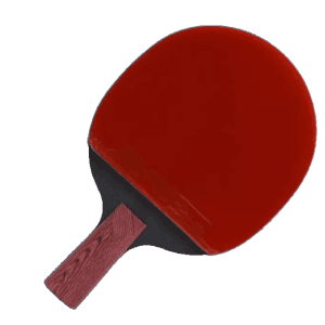 DHS Star Diamond Crimson table tennis racket