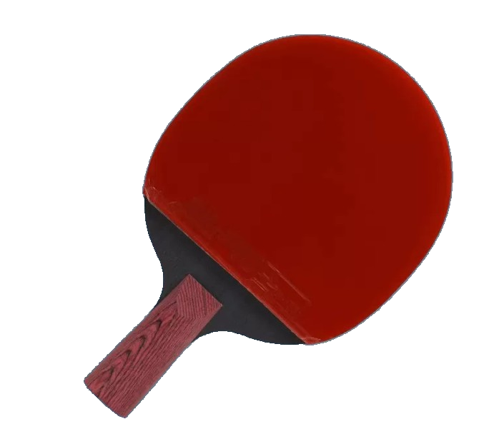 DHS Star Diamond Crimson table tennis racket