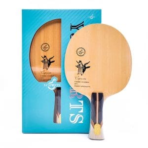 12 Zodiac Signs – table tennis blade